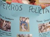 perros policía