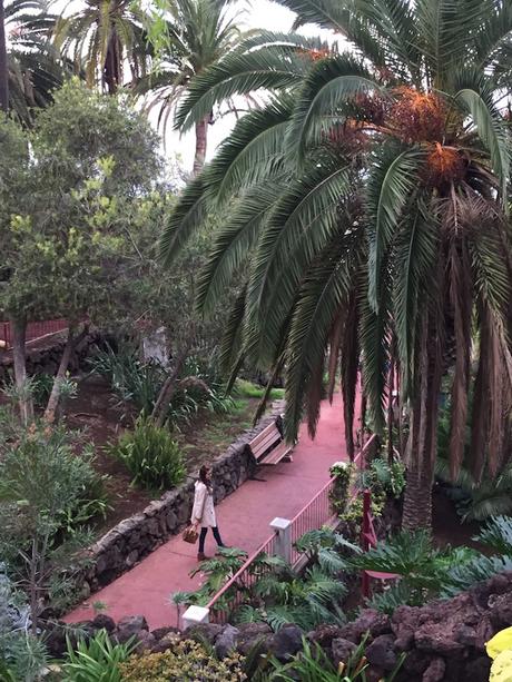 Parque Taoro - Puerto de la Cruz