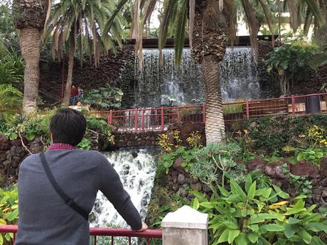 Parque Taoro - Puerto de la Cruz