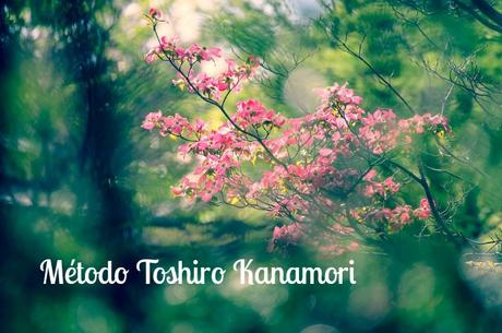 Maestro Toshiro Kanamori