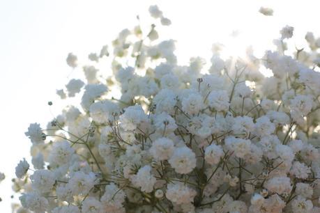 Lo que no me dijiste Lo que no me dijiste