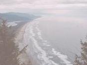 News: Aclarando ausencia