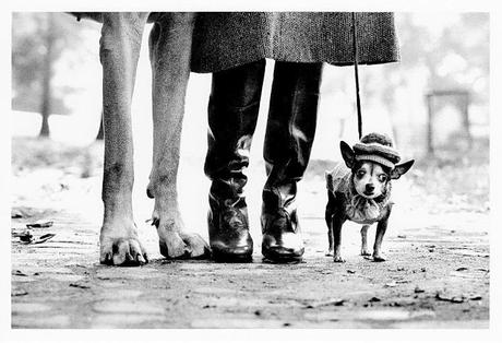 El blues de Willy Wonka