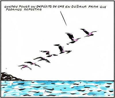 Mientras los cortos españoles arrasan, el Gobierno los castiga sin subvenciones.