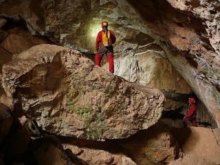 Estudios de algas de cuevas andaluzas