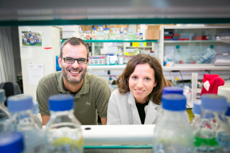 Cuál es la alimentación que dispara el riesgo de metástasis