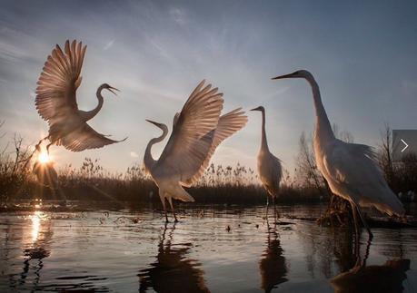 national geographic national geographic