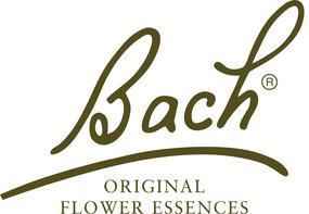 Flores de Bach para conseguir equilibrio y serenidad