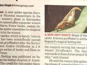nombra nueva araña como nombre Harry Potter debido parecido sombrero