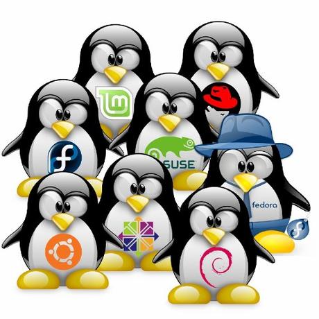 El mundo contra Linux