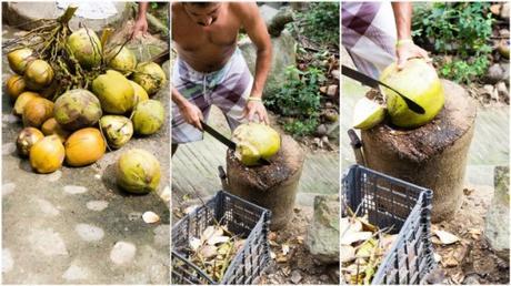 MÉXICO LINDO: BREVE RECORRIDO POR CDMX Y PUERTO VALLARTA