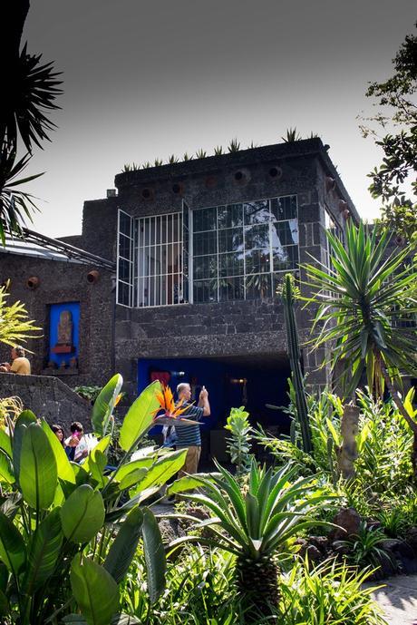 MÉXICO LINDO: BREVE RECORRIDO POR CDMX Y PUERTO VALLARTA