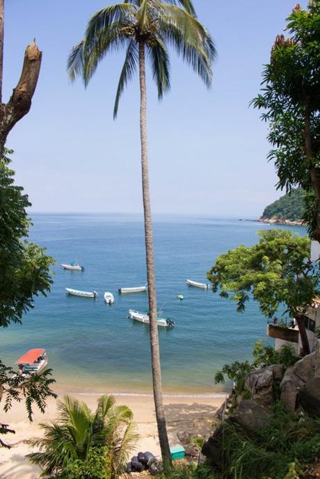 MÉXICO LINDO: BREVE RECORRIDO POR CDMX Y PUERTO VALLARTA