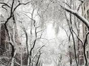 Gabinete psicoterapéutico