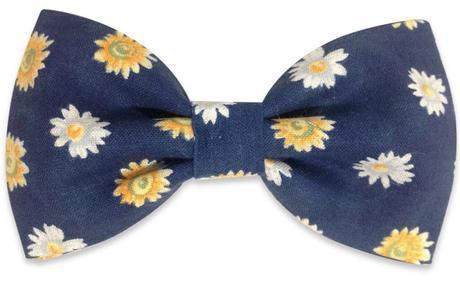 Pon una pajarita en la vida de tu chico