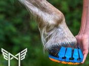 Compañía crea primeros zapatos correr mundo para caballos