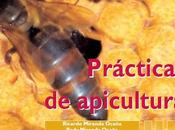 Manual "practicas apicultura" book "beekeeping practices".