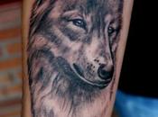 Tatto lobo
