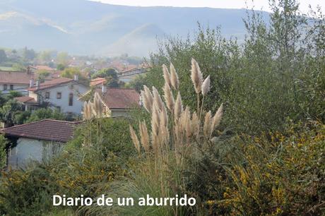 Viaje a Cantabria. Santander y la Marina Oriental