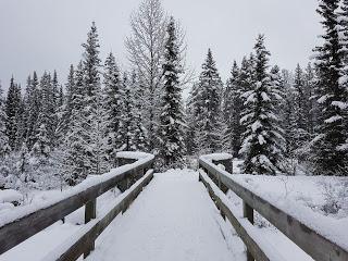 LLEGAMOS A LAKE LOUISE