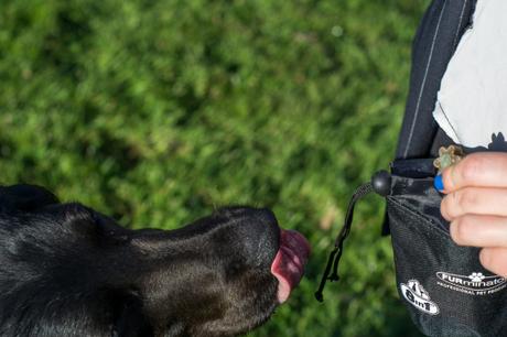 HappyBox noviembre 2016