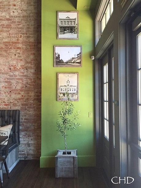 NUEVO COLOR PANTONE 2017: GREENERY NUEVO COLOR PANTONE 2017: GREENERY