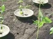 tips sobre ecoinnovación