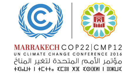 La Cumbre de Marrakech (COP22) tiene como objetivo pasar a la acción contra el cambio climático