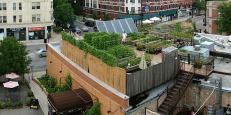 Cultivar en los tejados está de moda en Londres