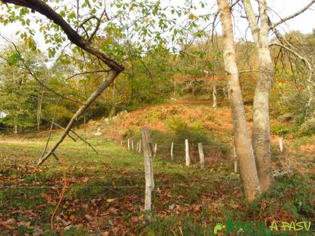 Finca en el camino a la Collada la Espina