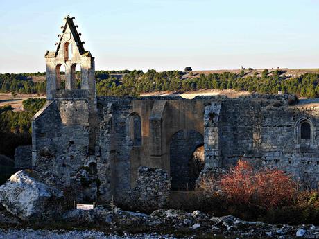 Monasterio de La Armedilla: Ermitiella y Cogeces del Monte.