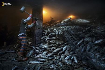Overfishing South China Sea