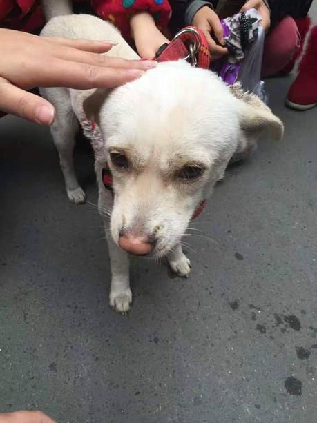 15400565_352571811767587_5290894564676033496_n