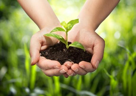 Los beneficios de tener un huerto urbano