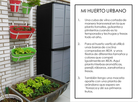 Como crear un huerto urbano en la terraza