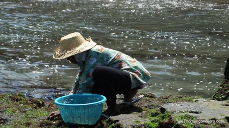 Bali; el Templo de Tanah Lot y las playas de Kuta
