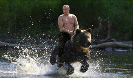 vladimir-putin-bear