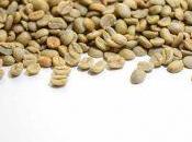 beneficios café verde para adelgazar