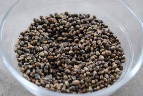 semillas-de-marihuana