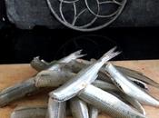 Mirloto, Suela, Sula Corcón Frito