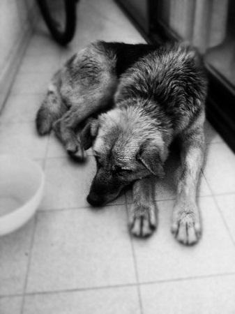 Una mano a la virulé