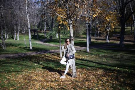 Autumn rules IMG_6299