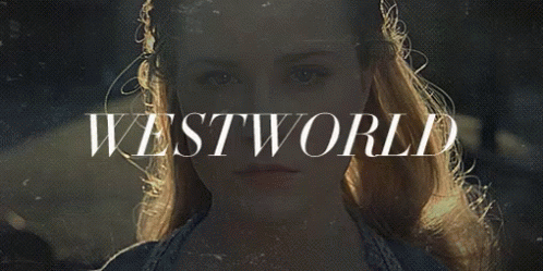 Resultado de imagen para gif tumblr westworld