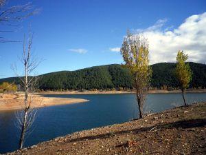 Otros supervivientes