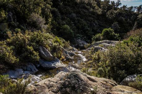 El Camí de l’Aigua de Cantallops, en plena Sierra de la Albera