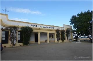 La Canariera y El Corregidor. Pago de Carrascal.