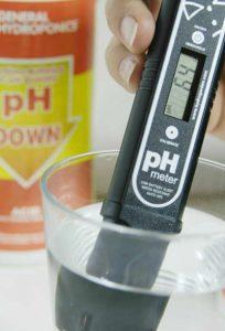 10 consejos cultivar marihuana