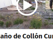 ermitaño Collón Curá quedó casa porque viento llevó