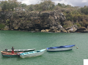Segunda entrega "Donde pasar Navidad