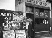 “cat’s meat man” vendedor carne para gatos